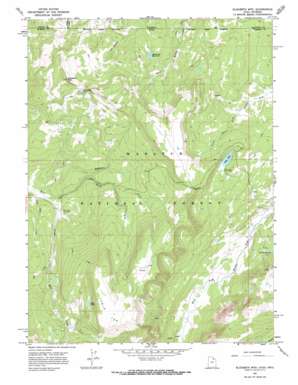 Elizabeth Mountain USGS topographic map 40110h6