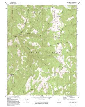 Rays Valley topo map