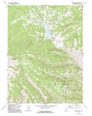 Jimmies Point topo map