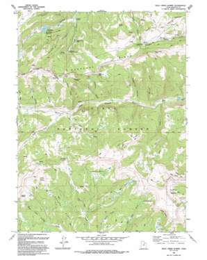 Wolf Creek Summit USGS topographic map 40111d1