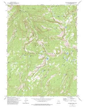 Erickson Basin USGS topographic map 40111f1