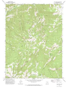 Hoyt Peak USGS topographic map 40111f2