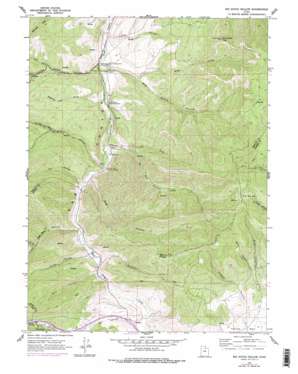 Big Dutch Hollow USGS topographic map 40111g5