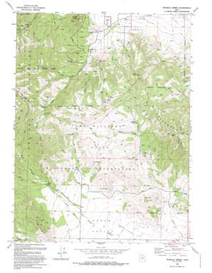 Tickville Spring USGS topographic map 40112d1