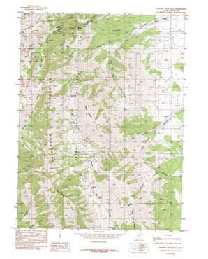 Deseret Peak East topo map