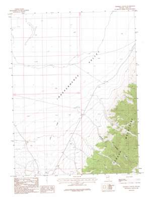 Ninemile Canyon USGS topographic map 40114f6