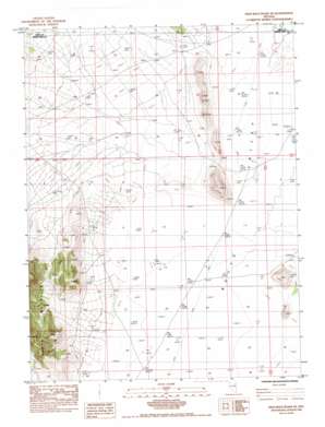 Ruby Lake USGS topographic map 40115a1