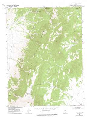 Ruby Lake SE USGS topographic map 40115a3