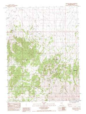 Medicine Spring USGS topographic map 40115c2