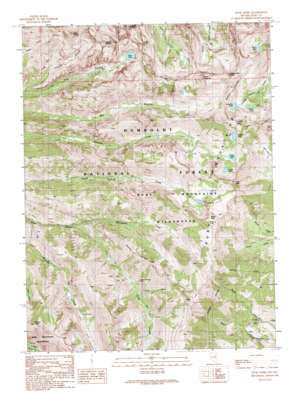 Ruby Dome topo map