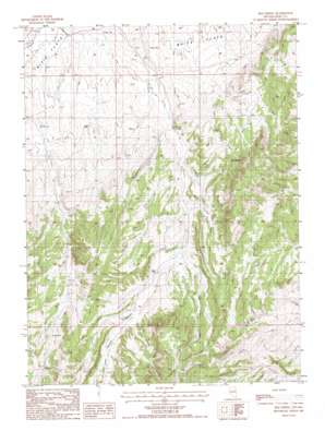 Red Spring USGS topographic map 40115e7