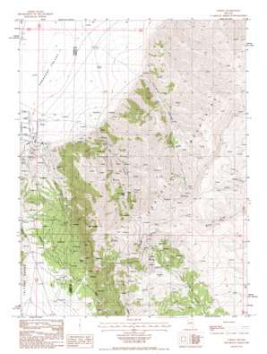 Buckhorn Mine USGS topographic map 40116b5