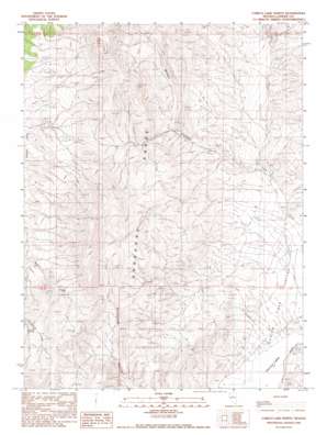Carico Lake North USGS topographic map 40116b8
