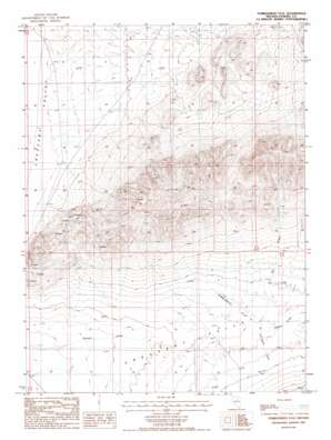 Tumbleweed Flat USGS topographic map 40116d4