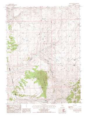 Ravens Nest USGS topographic map 40116e1