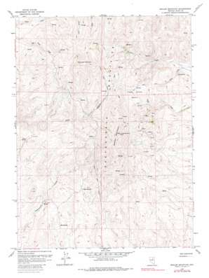 Swales Mountain USGS topographic map 40116h1