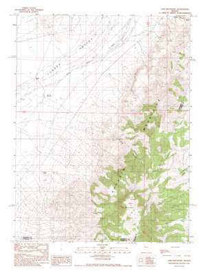 Cain Mountain USGS topographic map 40117a5