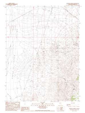 Redrock Spring USGS topographic map 40117c1
