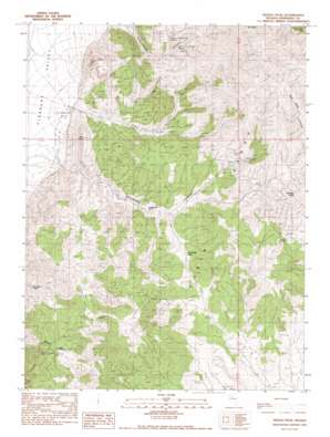Needle Peak USGS topographic map 40117c5
