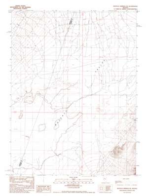 Buffalo Springs Ne USGS topographic map 40117d3