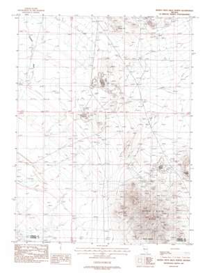 Buena Vista Hills North USGS topographic map 40118a2
