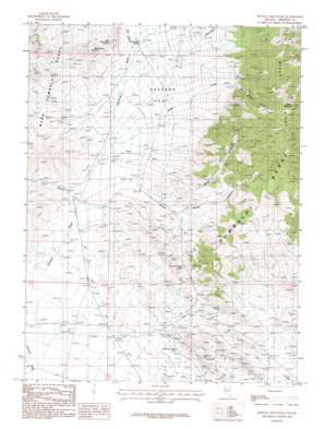 Buffalo Mountain USGS topographic map 40118b2