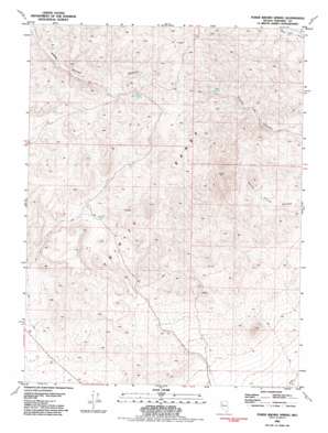 Poker Brown Spring USGS topographic map 40118c5
