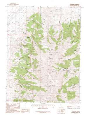 Star Peak USGS topographic map 40118e2
