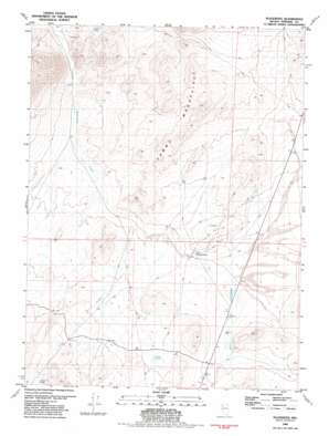Placerites USGS topographic map 40118f6