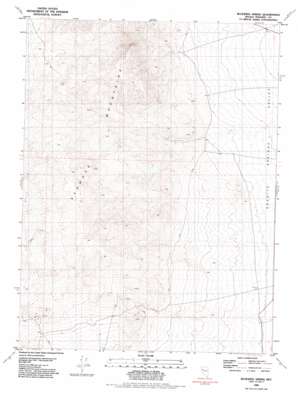Bluewing Spring topo map