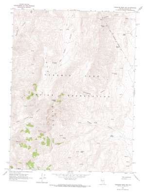 Tohakum Peak NW USGS topographic map 40119b4