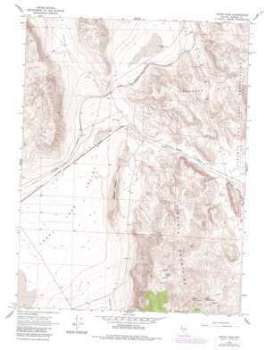 Astor Pass USGS topographic map 40119b7
