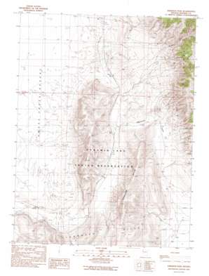 Emerson Pass topo map