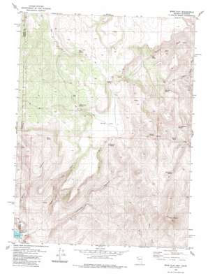 Mixie Flat USGS topographic map 40119f8