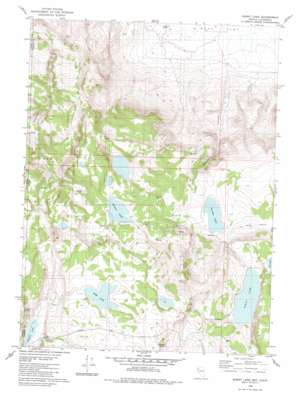 Burnt Lake USGS topographic map 40119h8