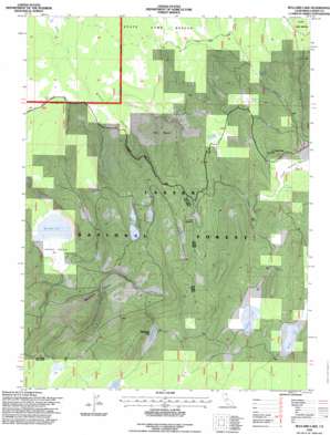 Bullard Lake USGS topographic map 40120g8