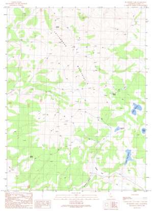 Buckhorn Lake USGS topographic map 40120h1