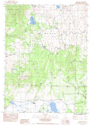 Dixie Peak USGS topographic map 40121h1