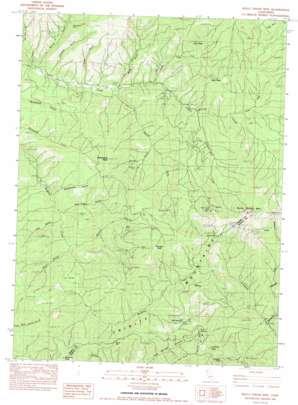 Bully Choop Mountain USGS topographic map 40122e7