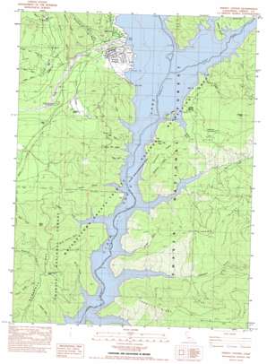 Trinity Center USGS topographic map 40122h6