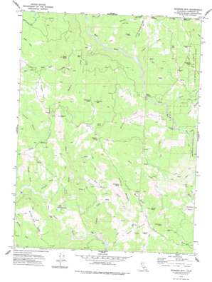 Showers Mountain topo map