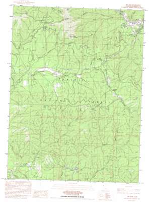 Big Bar USGS topographic map 40123f3
