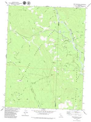 Sims Mountain USGS topographic map 40123f5