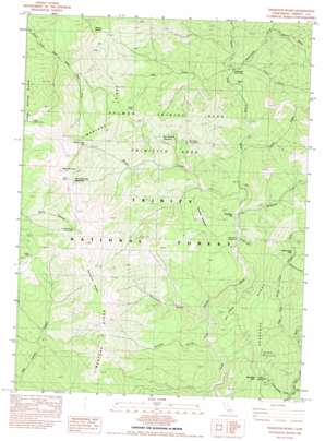 Thurston Peaks USGS topographic map 40123h2