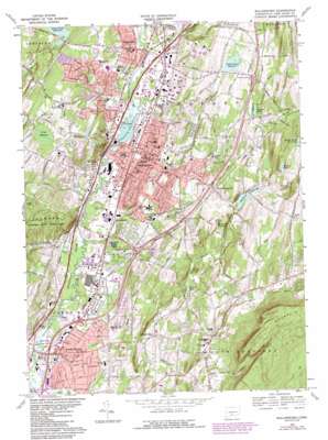 Wallingford USGS topographic map 41072d7