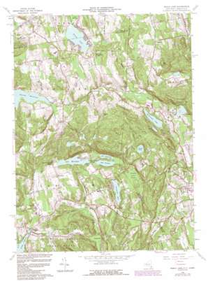 Peach Lake USGS topographic map 41073c5