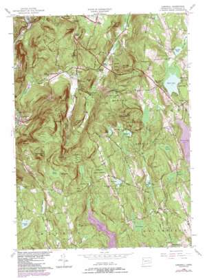 Cornwall USGS topographic map 41073g3
