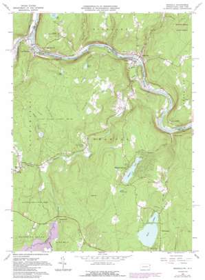 Shohola USGS topographic map 41074d8