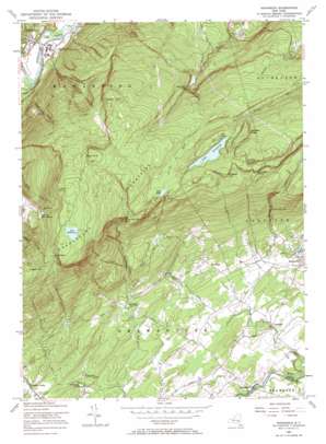 Napanoch USGS topographic map 41074f3