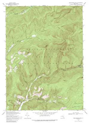 Peekamoose Mountain USGS topographic map 41074h4